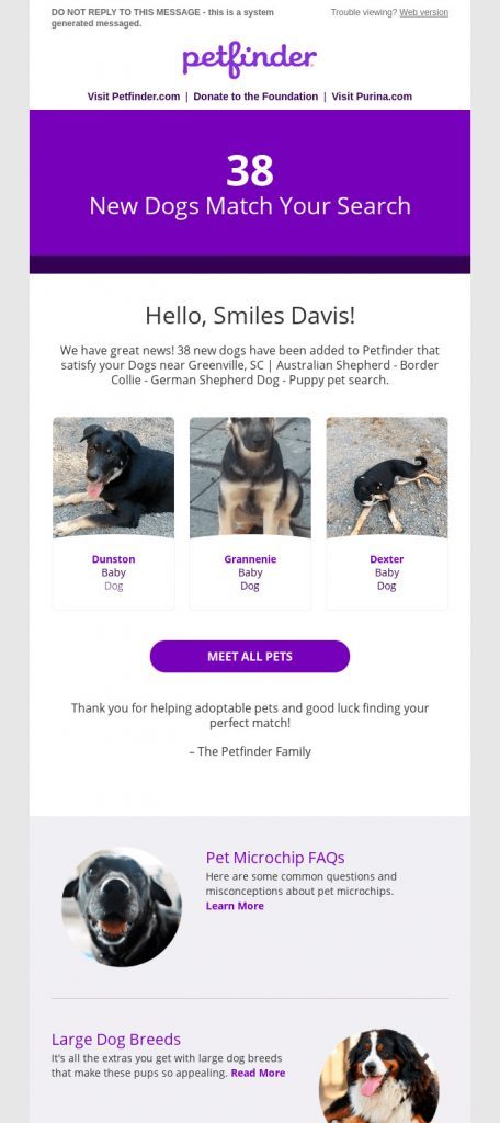 ejemplo newsletter petfinder