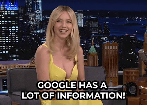 Google y la información