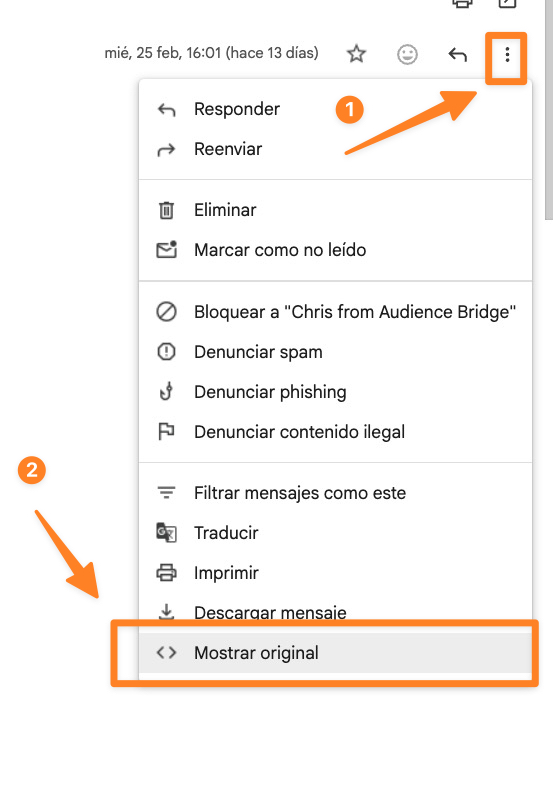 mostrar email original