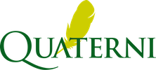 Quaterni
