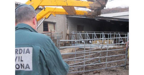 Decomiso de 24 vacas de una granja de Huesca
