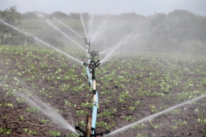 El problema de la escasez de agua une a Europa y a China