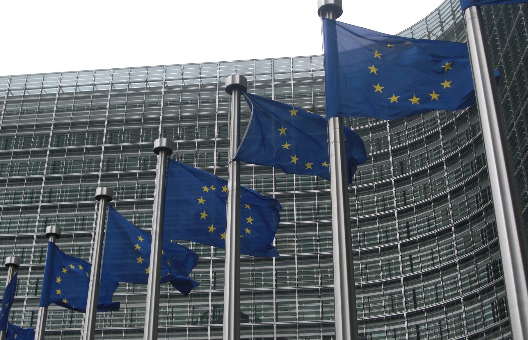 La Comisión Europea reanuda los controles sobre el terreno 