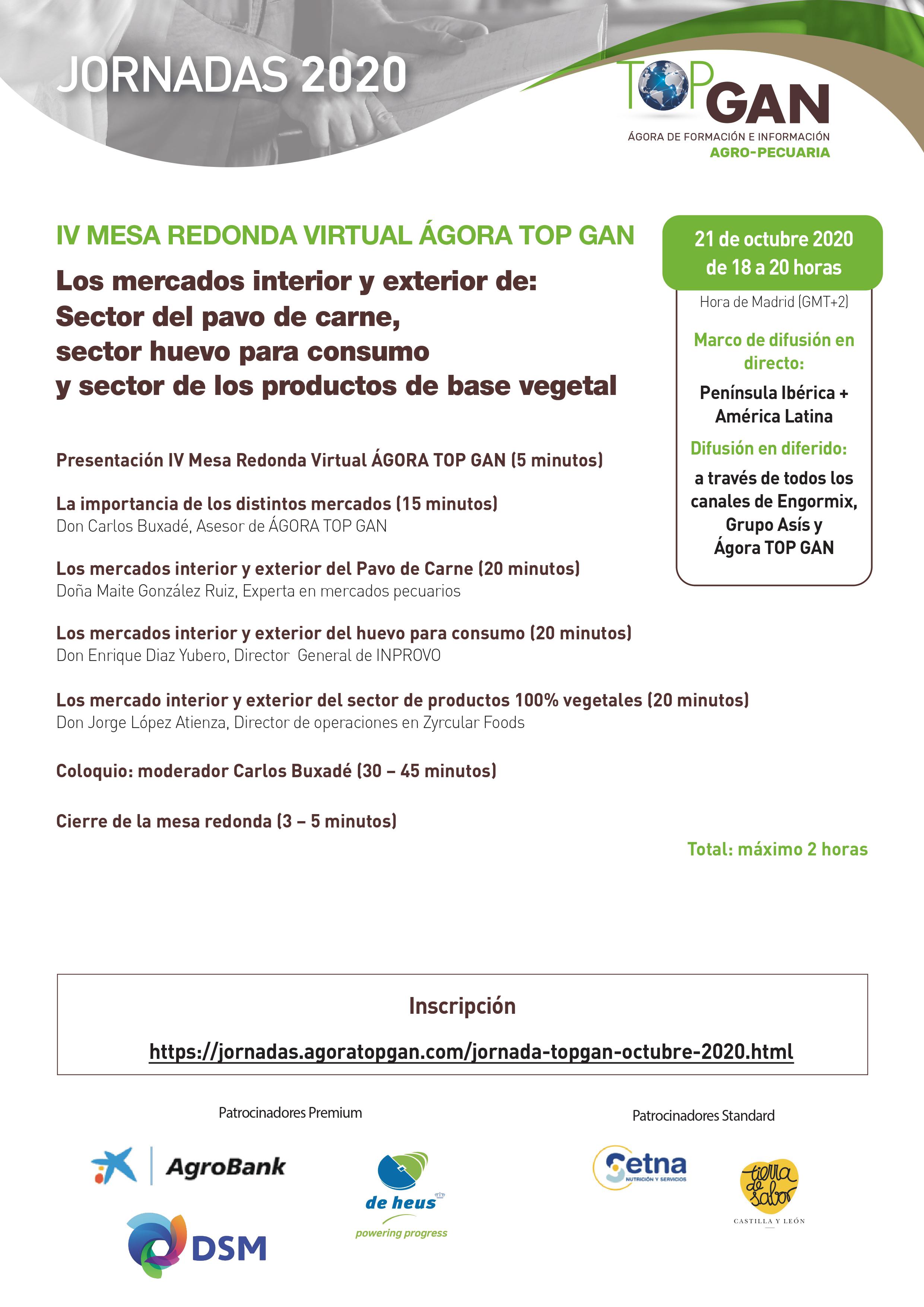 Cartel IV Mesa Redonda Virtual