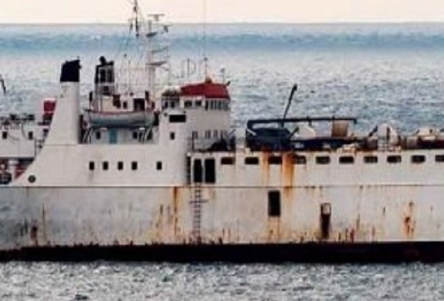 Los terneros que han navegado en barco el Elbeik
