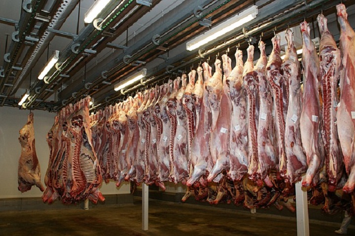 El BOE  modificala clasificación de canales de porcino, vacuno y ovino 