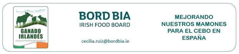 BORD BIA