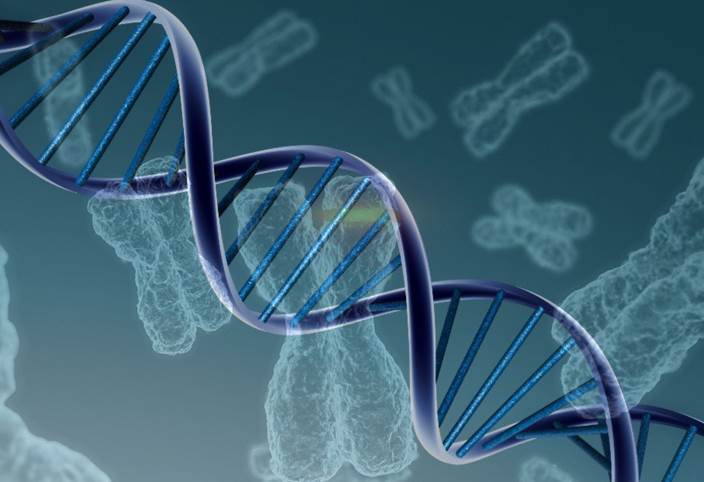 Genómica, metodología de análisis (1) III