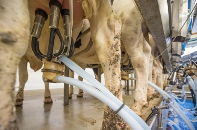 Competencia y su apoyo a los contratos lácteos