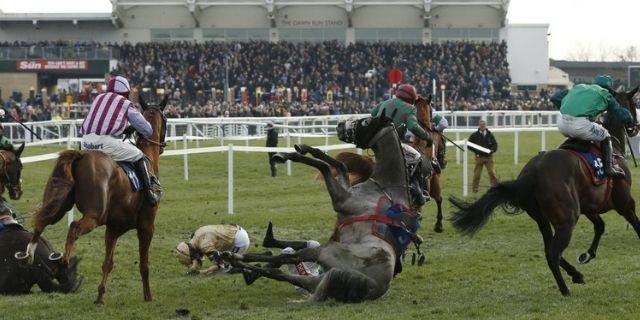 Fracturas en los caballos de carreras