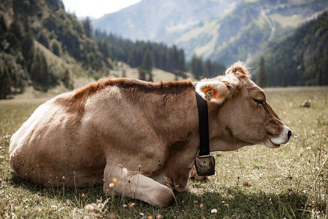 Todo hace prever que las importaciones de carne de China caerán en el 2023