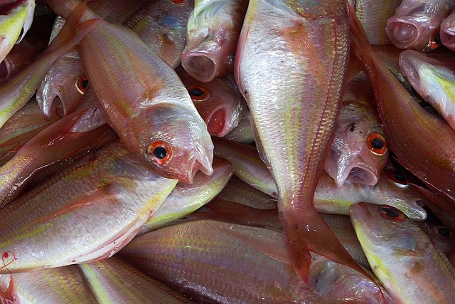 La campaña 'Llévate pescado' resuelve dudas a los consumidores