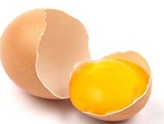 La calidad del huevo de consumo (II)