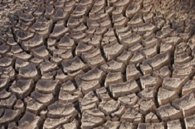 ASOPROVAC pide al Gobierno flexibilizar las ayudas a la sequía