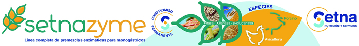 sETNAZIME