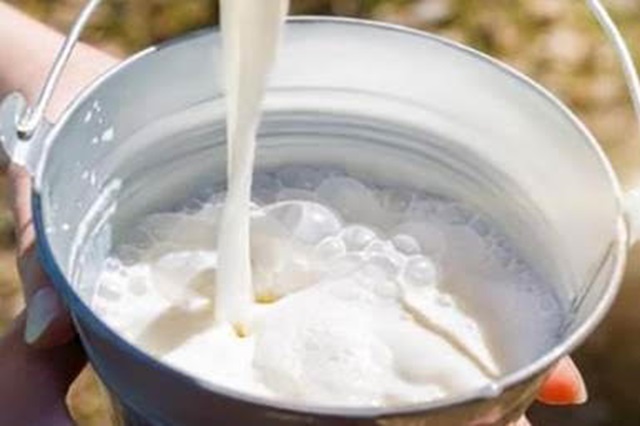 Nuevas protestas en Bruselas por el precio de la leche