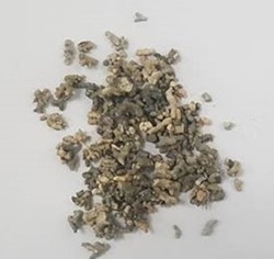 Avances de las algas en la alimentación animal y humana (I)