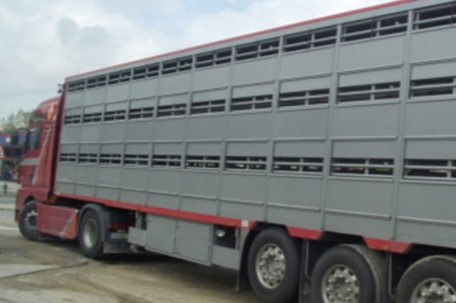 La posible modificación de los estándares en el transporte de animales