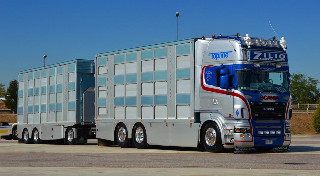 Una propuesta desconectada de la realidad: en juego el futuro del transporte de animales vivos (y III)