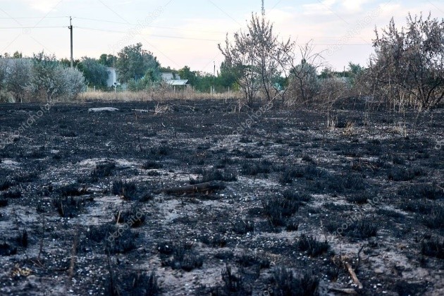 Los incendios, un grave problema