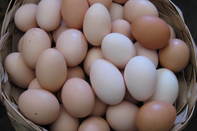 El Pregón de don César Lumbreras ¡Faltan Huevos!