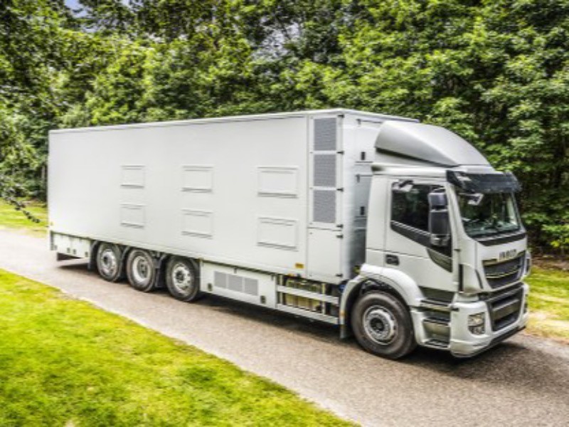 El relevo generacional de conductores en el transporte de animales vivos