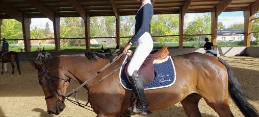 Las claves en la doma del caballo