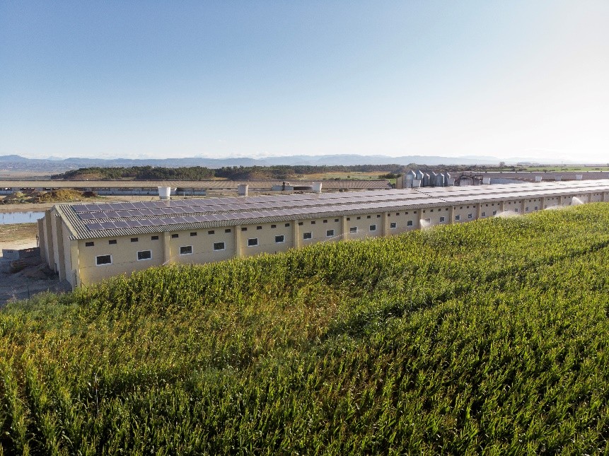 El músculo exportador del porcino continúa y conquista nuevos mercados