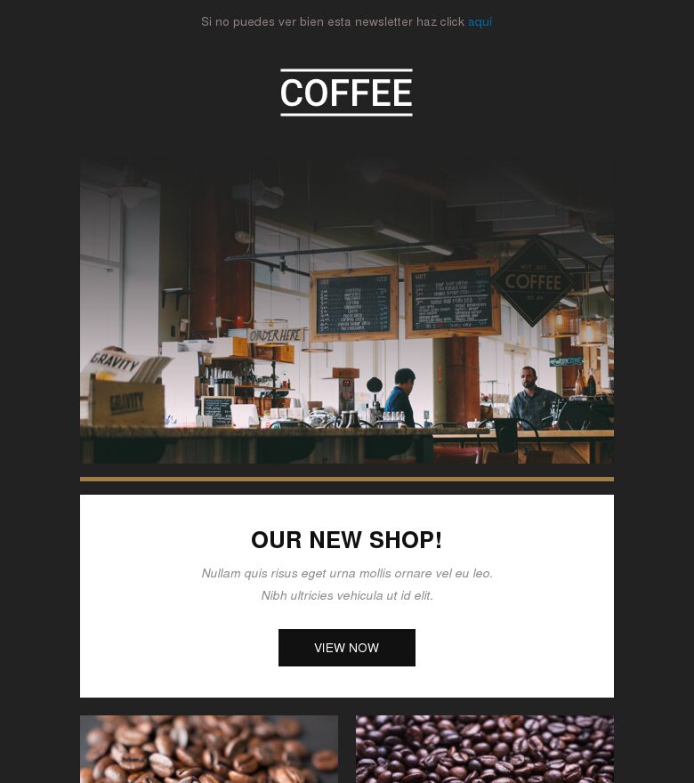 Email marketing template Café larga