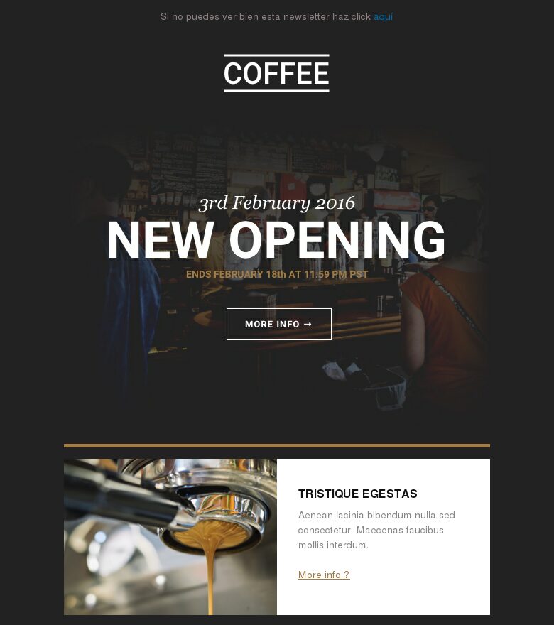 Template email marketing Café media