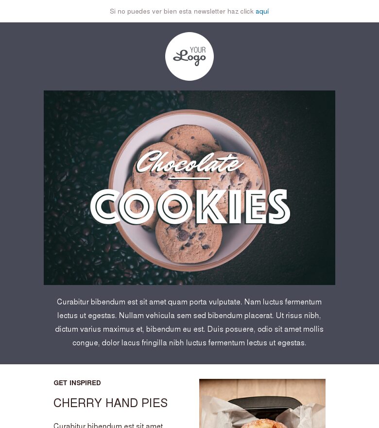 Template email marketing Galletas