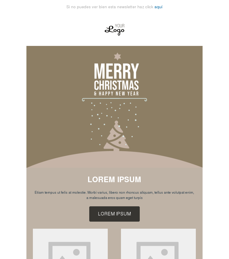 Plantilla email marketing navidad#5