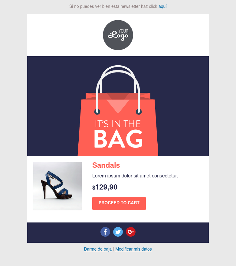 E-Mail-Marketing-Vorlage Ecommerce bolso