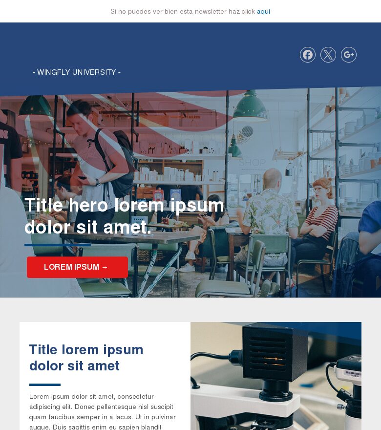 Template email marketing Universidad