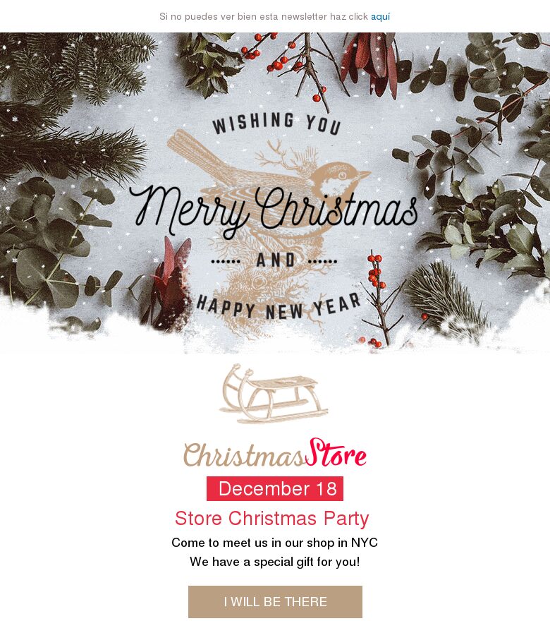 Template email marketing Navidad tiendas