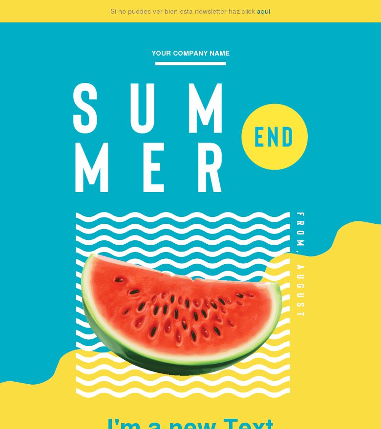 Template email marketing Final verano