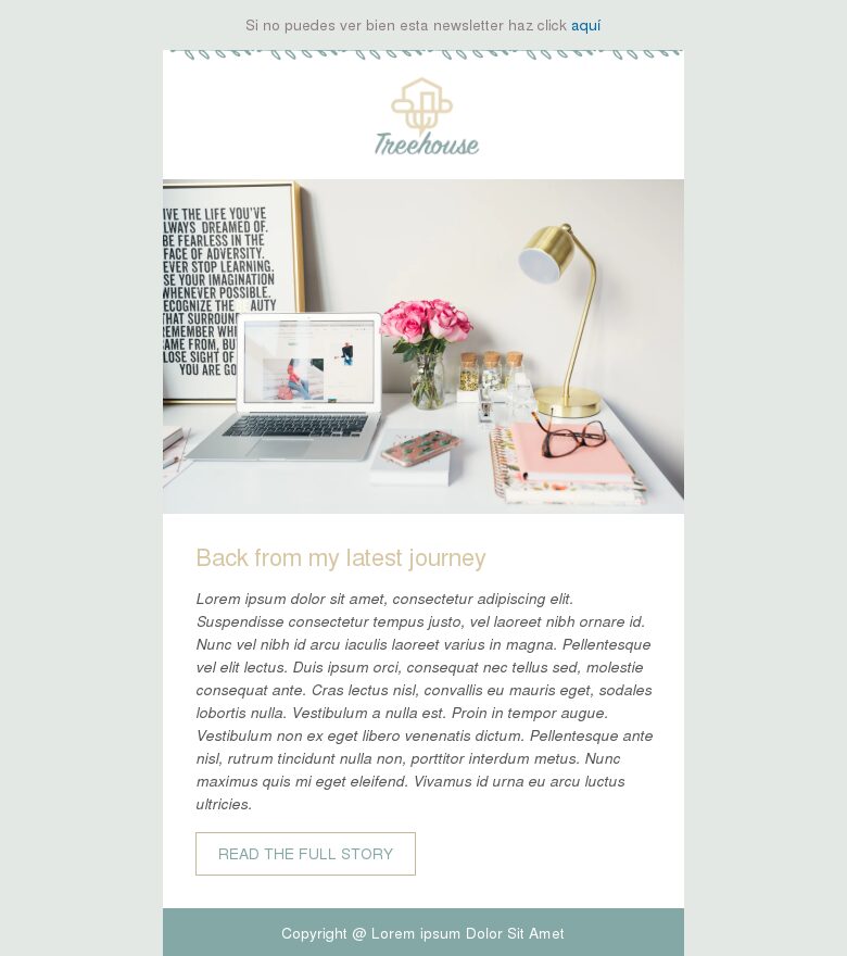 Template email marketing Blogger