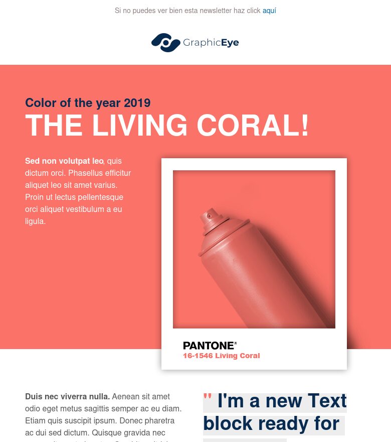 Template email marketing Color del año
