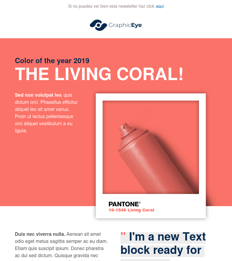 E-Mail-Marketing-Vorlage Color del año
