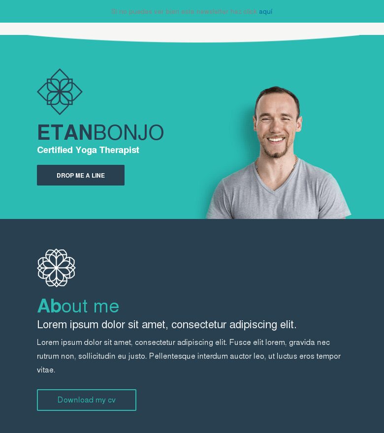 Template email marketing Presentación
