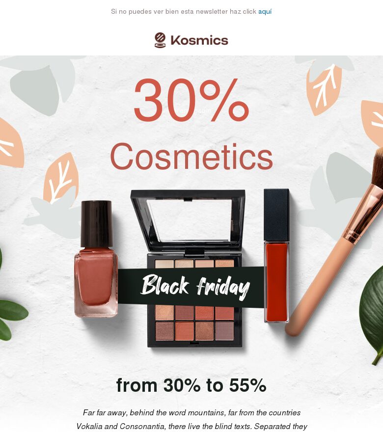 Template email marketing Black Friday #11