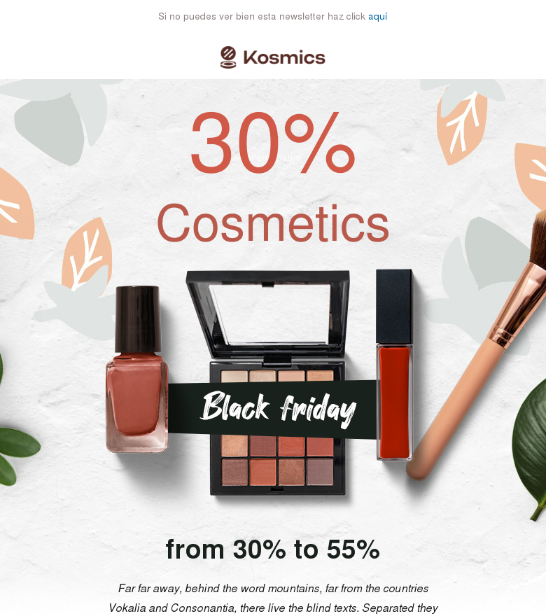 Plantilla email marketing BlackFriday#11