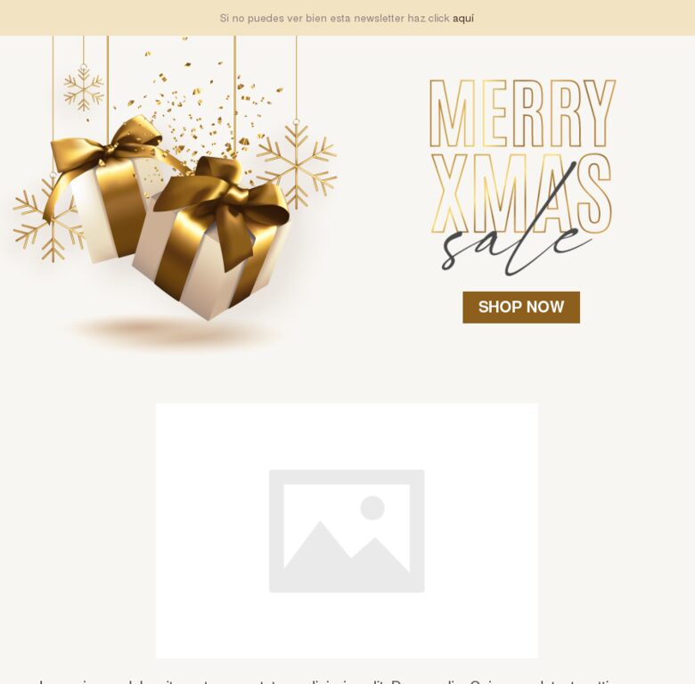 Template email marketing Navidad #6