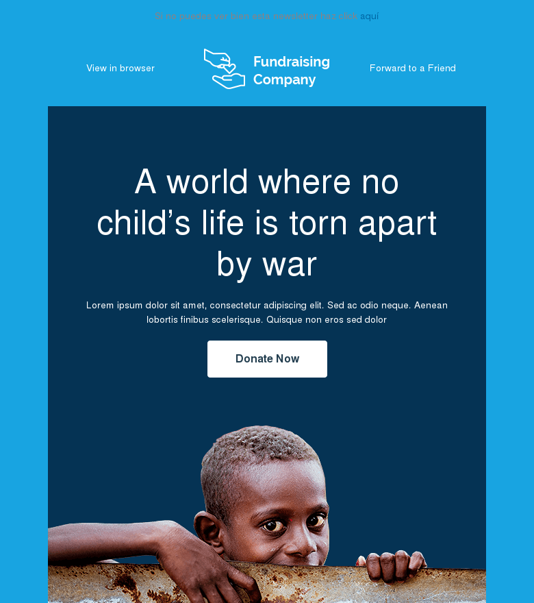 Plantilla email marketing Fundraising initiative