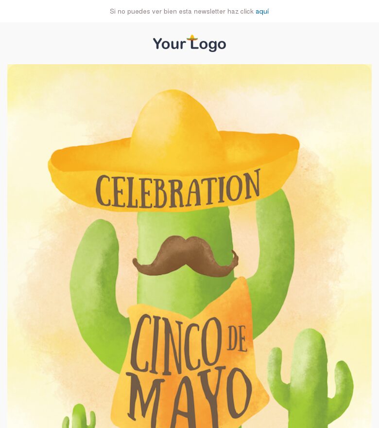 Template email marketing Fiesta fiesta