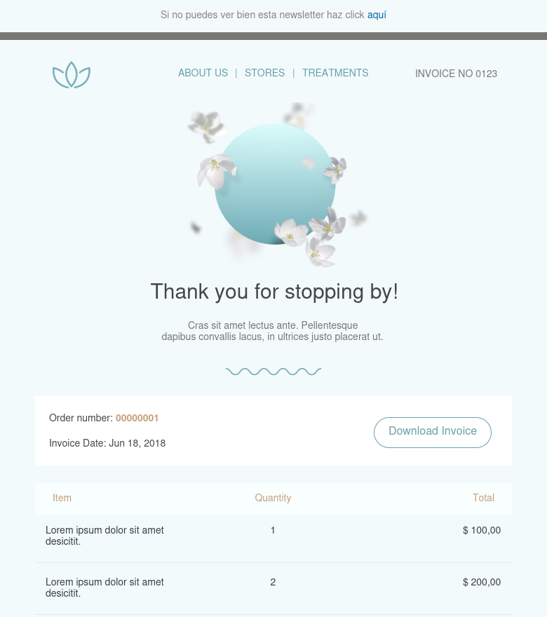 E-Mail-Marketing-Vorlage Your visit to the spa invoice