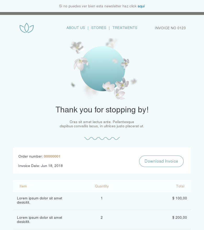 Plantilla email marketing Your visit to the spa invoice