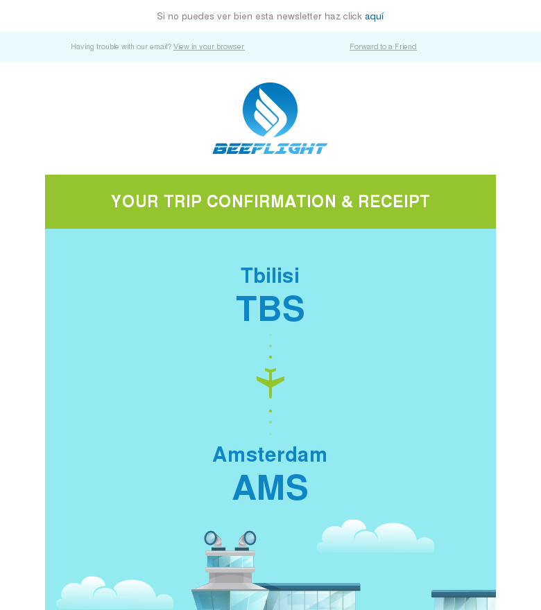 Plantilla email marketing Flight confirmation