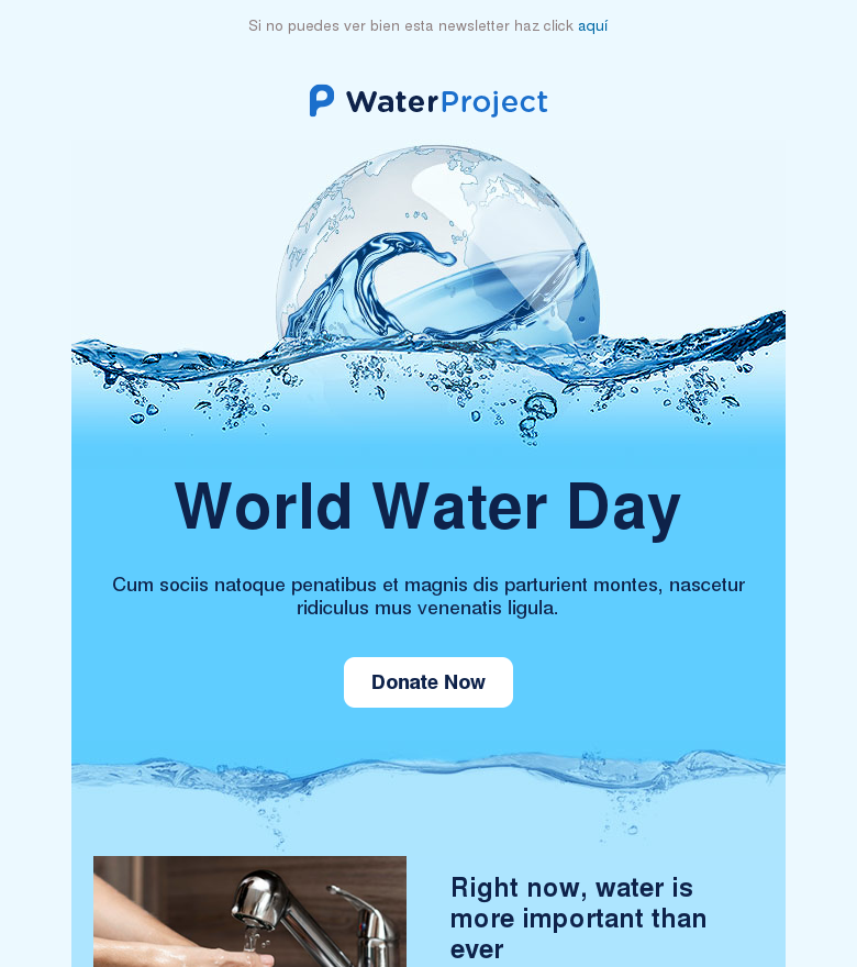 Plantilla email marketing World water day