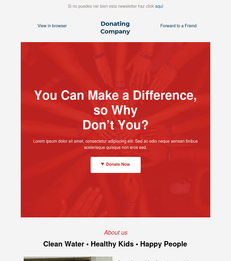 E-Mail-Marketing-Vorlage Fundraising non profit
